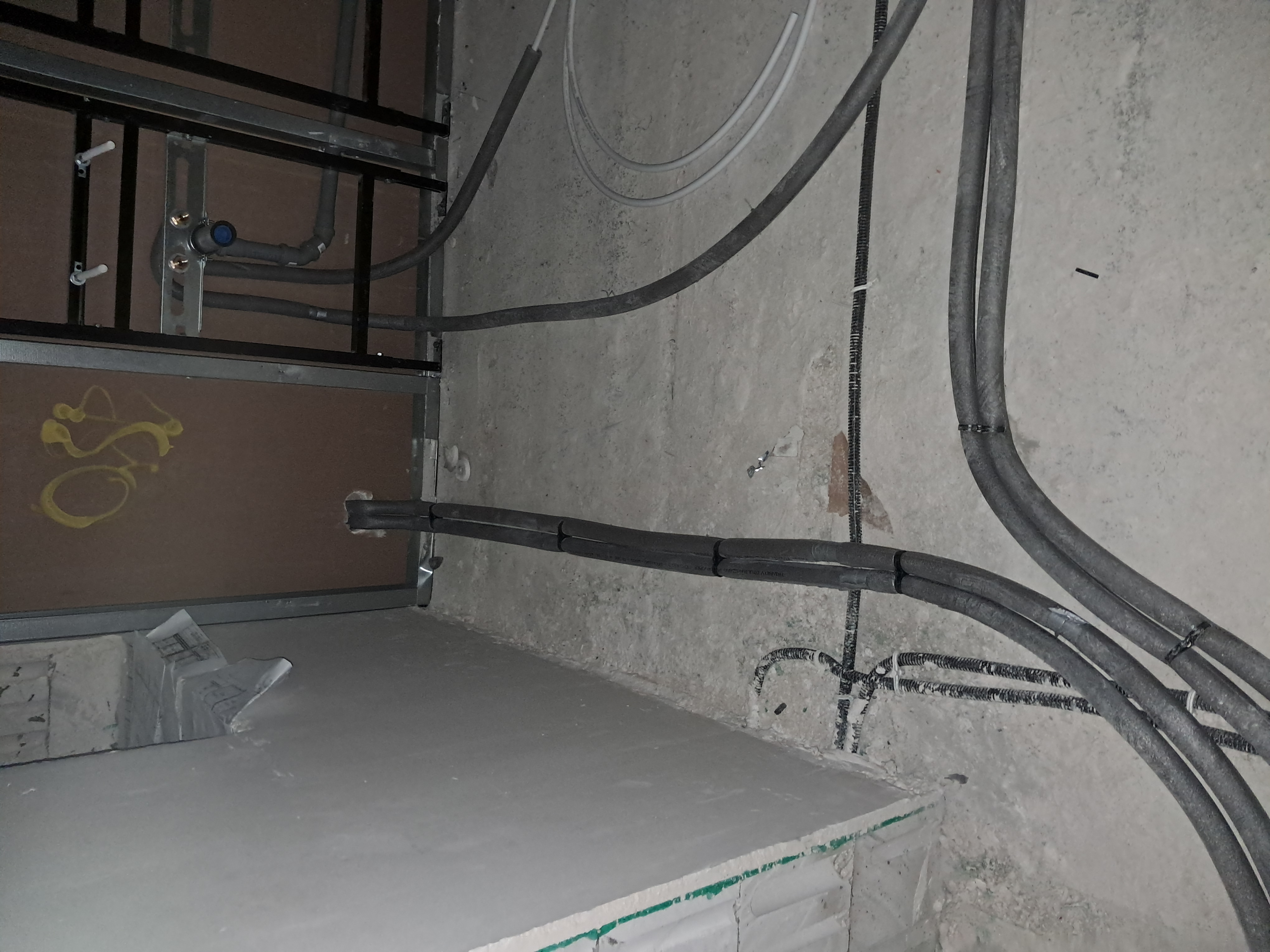 20260731_104641.jpg
